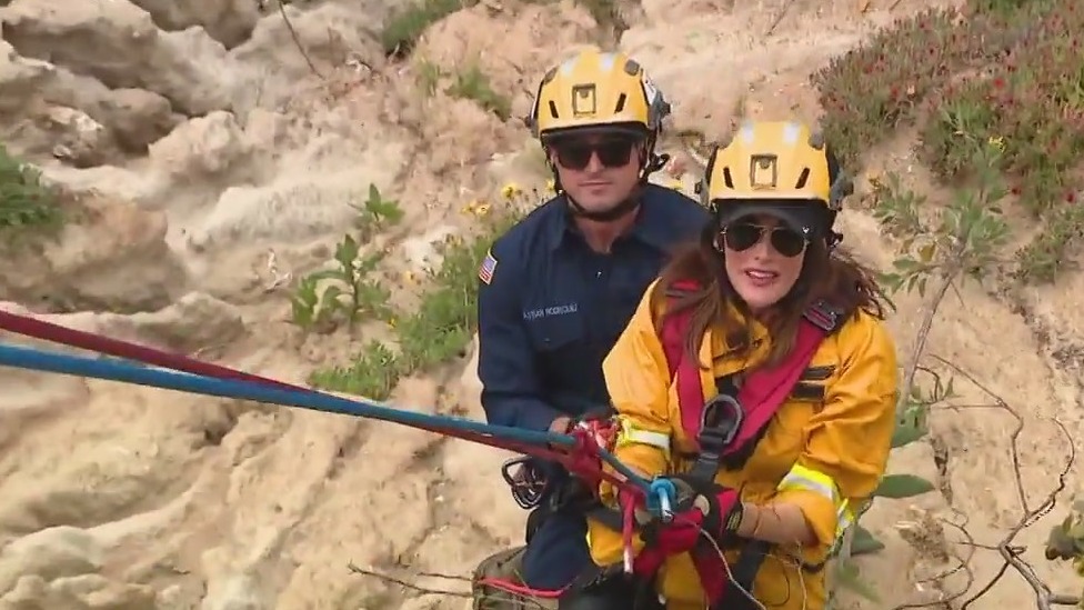 Behind-the-scenes training with the OCFA