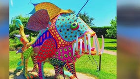 New art exhibit opening on St. Paul's Raspberry Island