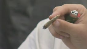 New study links marijuana use and testicular cancer