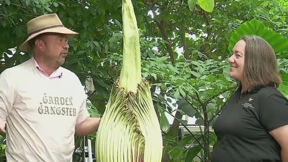 FOX 9 Good Day: May 21, 2024