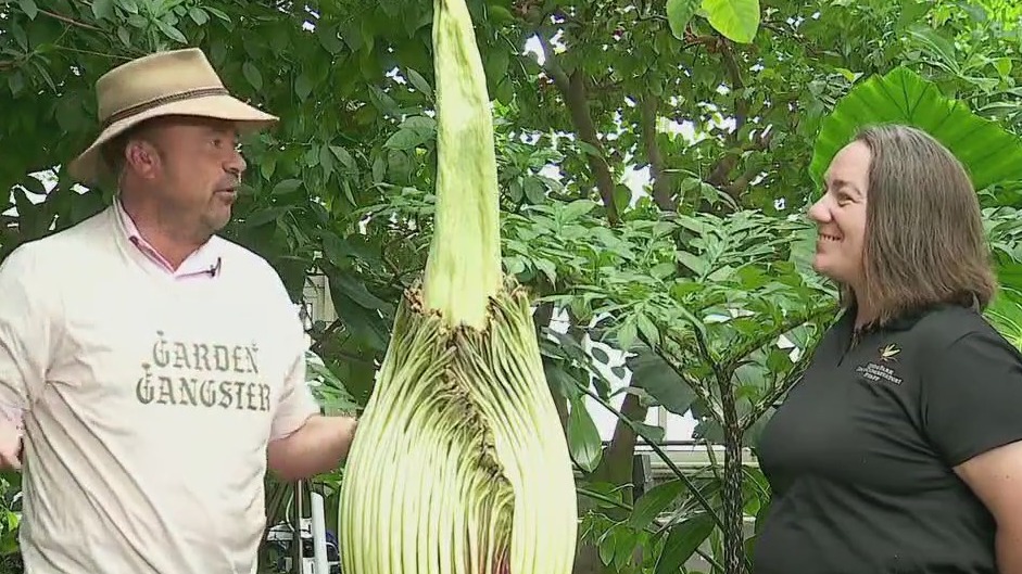 FOX 9 Good Day: May 21, 2024