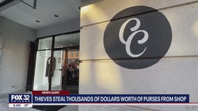 Thieves steal thousands of dollars worth of purses from Lincoln Park shop