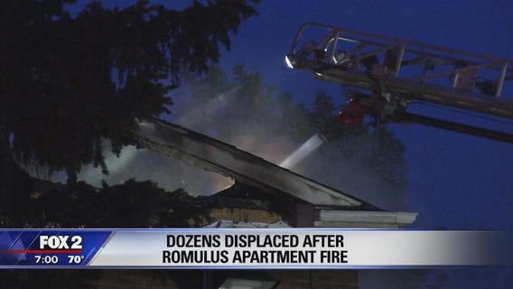 Boys knock on doors to help save families in Romulus apartment fire