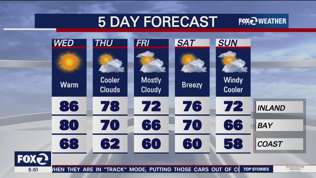 Windy day in the Bay