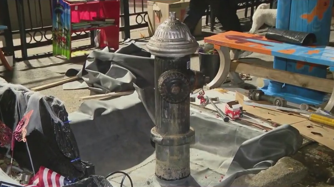 Beloved Bed-Stuy goldfish pond dries up