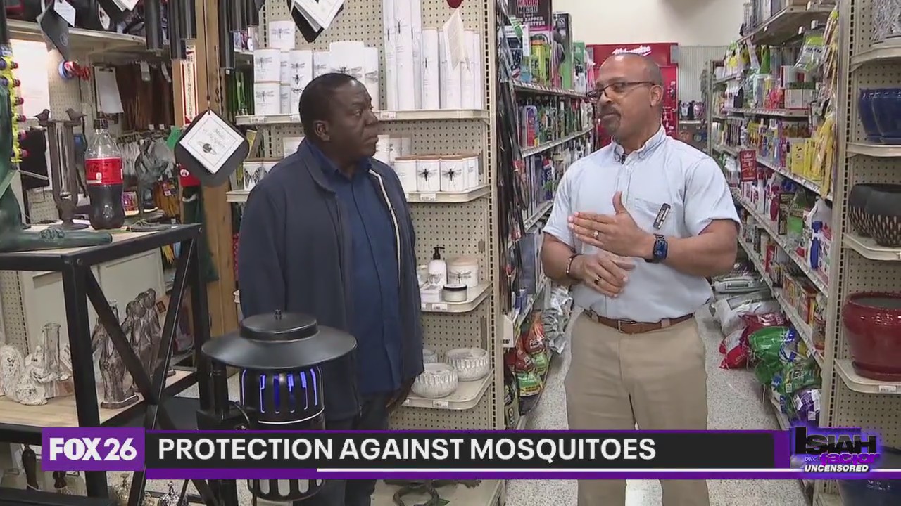Protection against mosquitoes in homes