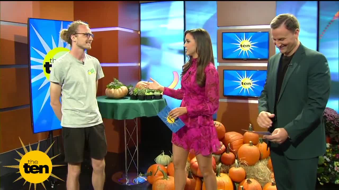 Prepping your pumpkins with Green Acres