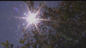 Record breaking heat wave in So Cal