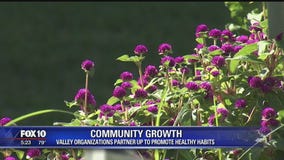 Suns partner with Valley foundations to promote healthy habits for students