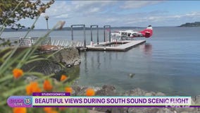 Beautiful views during South Sound scene flight