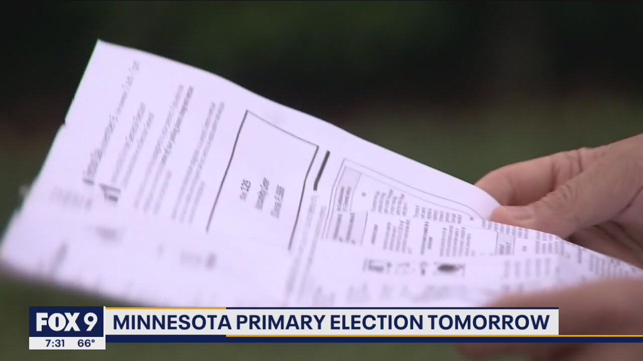 Voting amid a pandemic: Why this year's MN primary results may take longer than usual