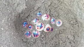 FWC decorates sea turtle eggs for research