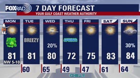 Houston weather forecast for March 17, 2025