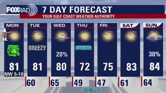 Houston weather forecast for March 17, 2025