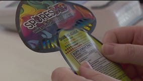 First MN mushroom dispensary opens in St. Paul