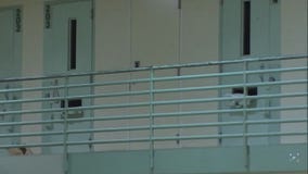 Bail Reform author says eloping democrats are compromising