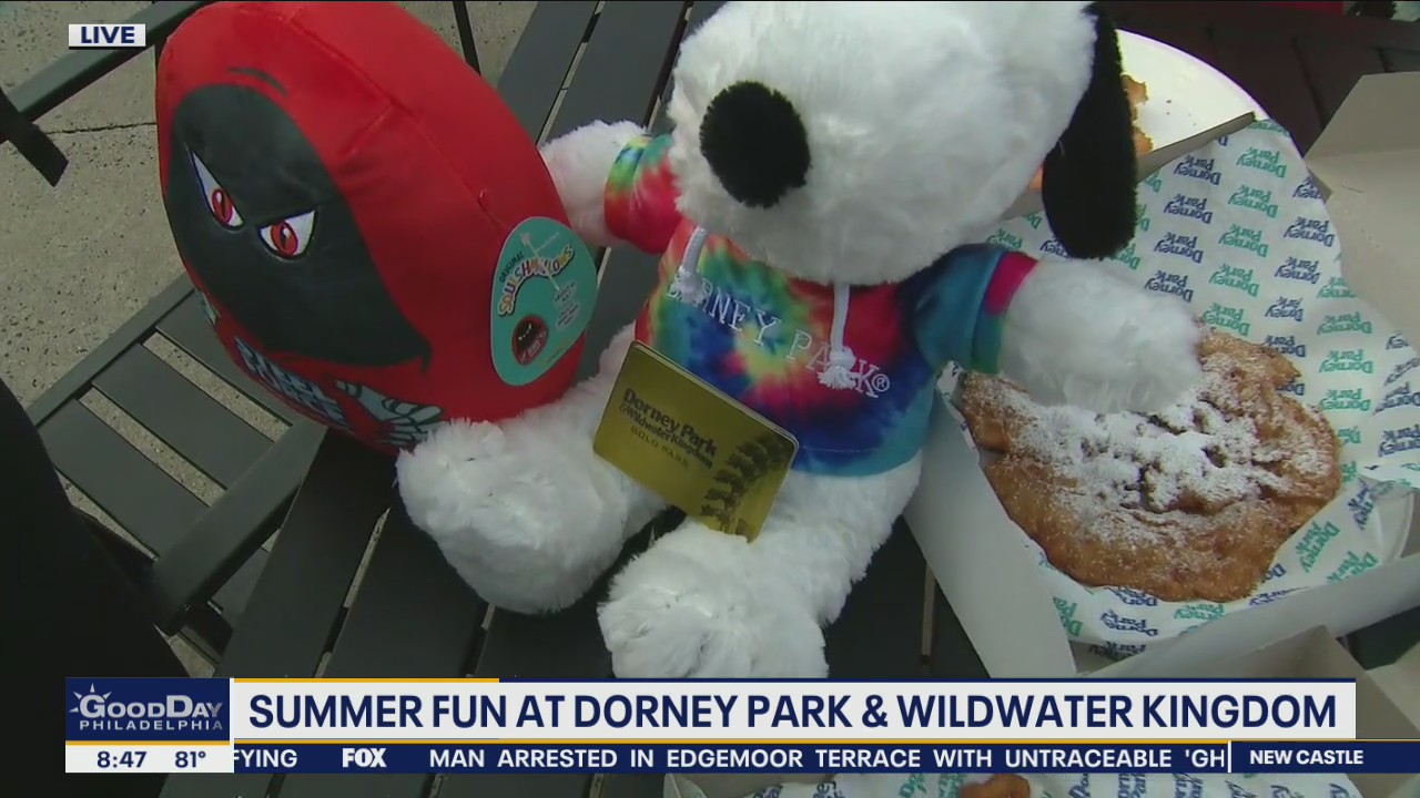 Enjoy summer fun at Dorney Park and Wildwater Kingdom