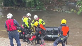Dog rescued from floodwaters caused by CA storms