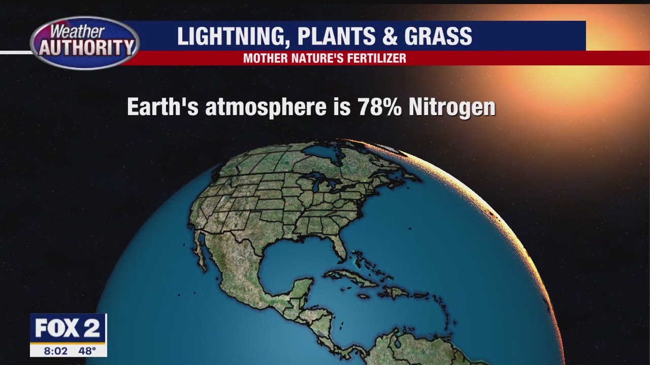 Last night's lightning has impacts on this morning's grass