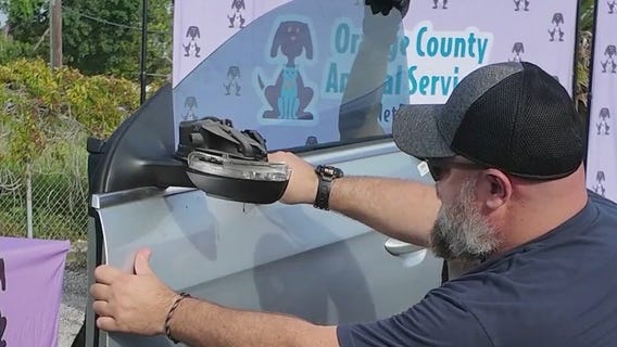 What to do if you see a child or animal trapped in a hot car