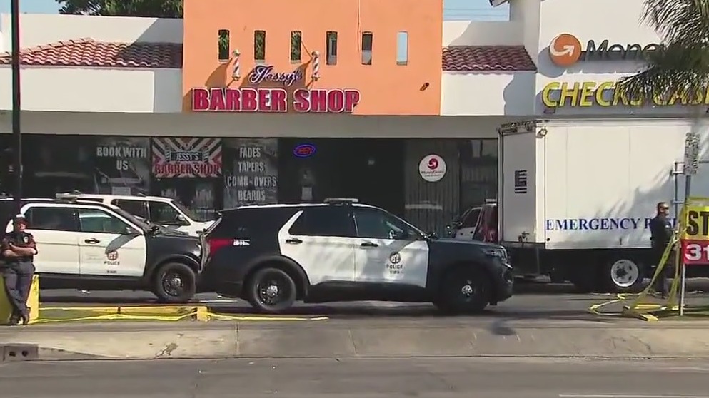 Wave of shootings hit South LA