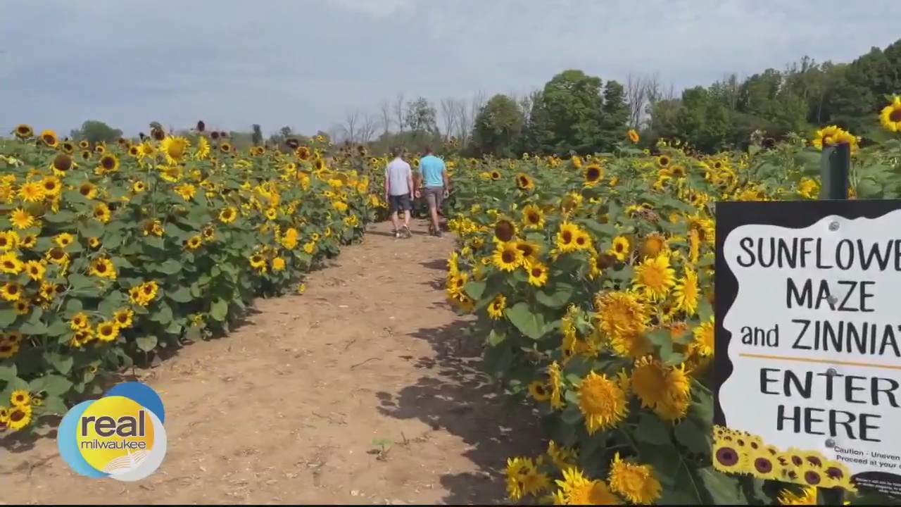 The Bubbler, Sept. 4, 2023