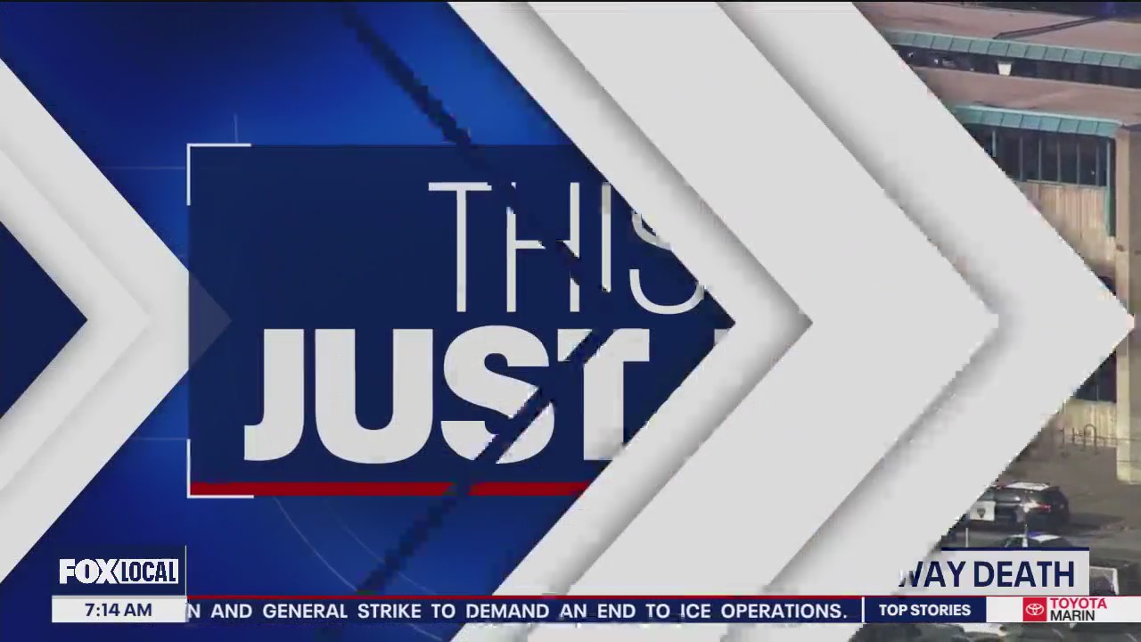 High School Basketball Brawl