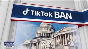 Cybersecurity expert weighs in on potential TikTok ban