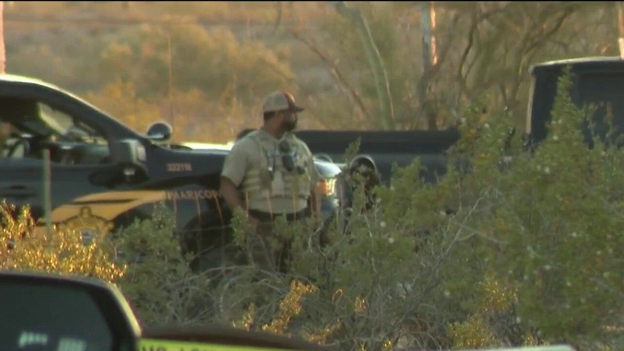 34 live roosters found during cockfighting ring raid in Tonopah