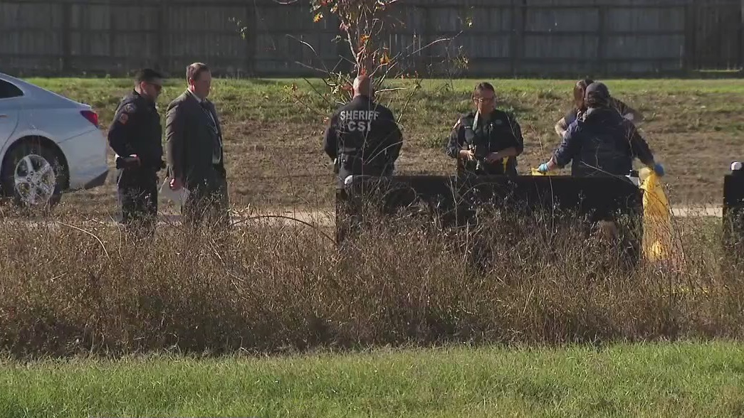 Man killed in dog attack in Katy