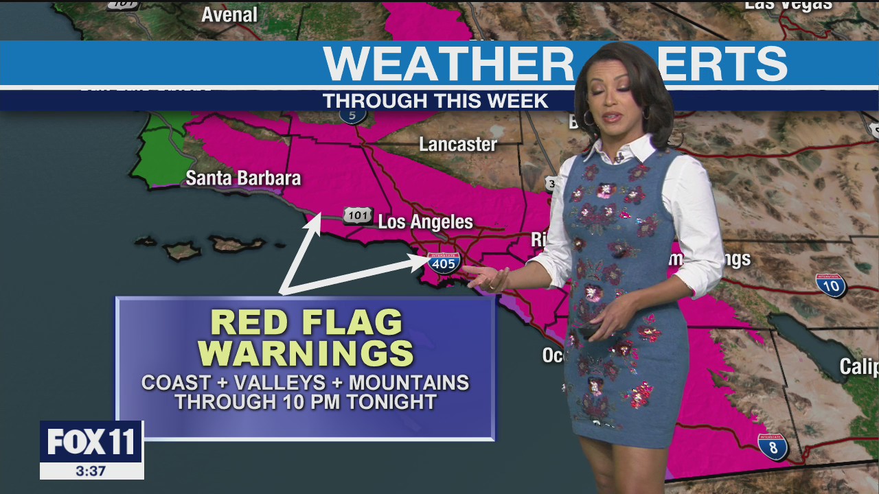 Weather Forecast for Tuesday, December 8