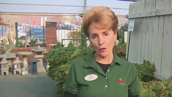 Pike Nurseries offers wreath advice