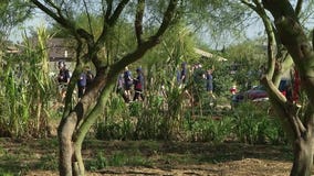 JPMorgan Chase employees put in hard work volunteering in the Phoenix area