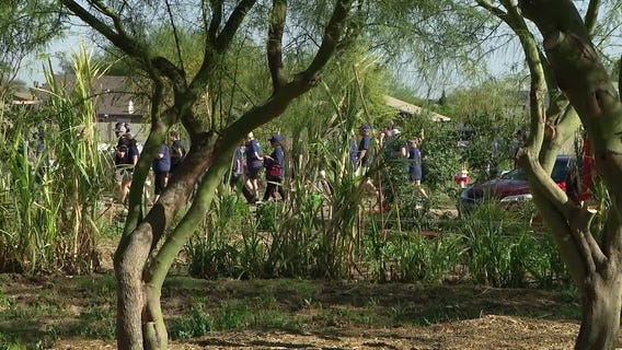 JPMorgan Chase employees put in hard work volunteering in the Phoenix area