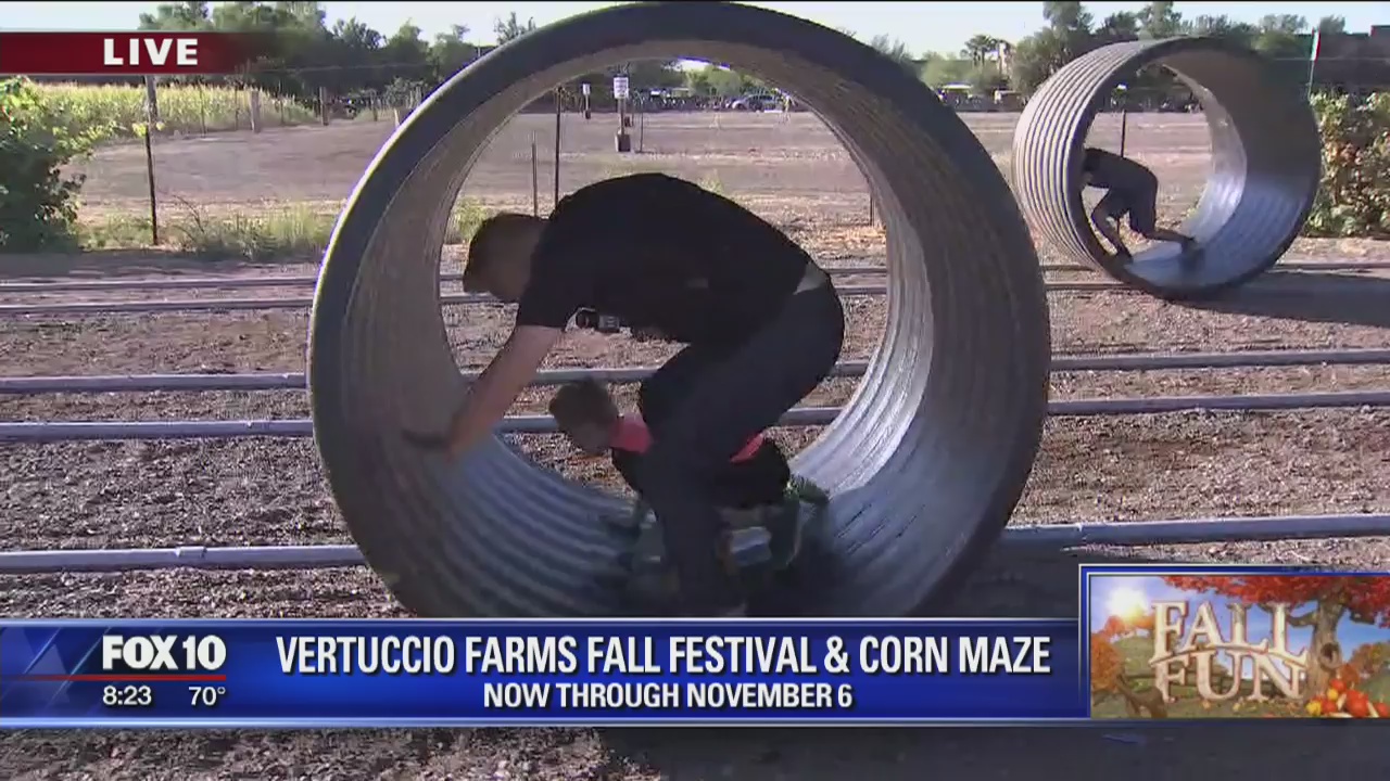 Vertuccio Farms Fall Festival and Corn Maze