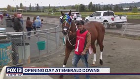 Emerald Downs celebrates 30th season with record turnout