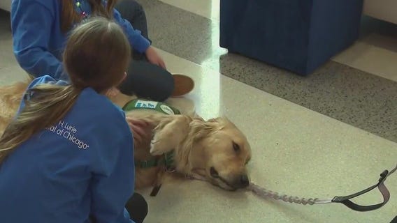 Lurie Children’s Radiothon spotlights healing work of child life specialist, facility dog