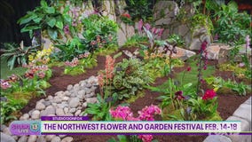 Learning how to make terrariums ahead of the Northwest Flower and Garden Festival