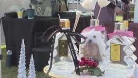 Small Business Saturday around Central Florida