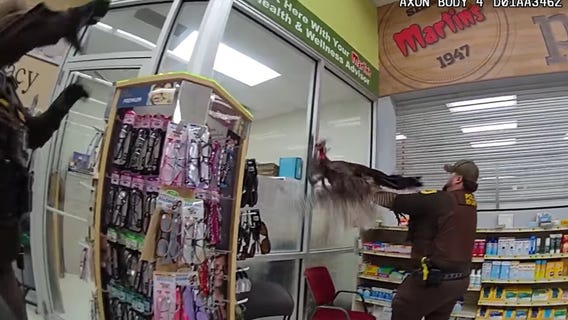 Wild turkey causes chaos Indiana supermarket