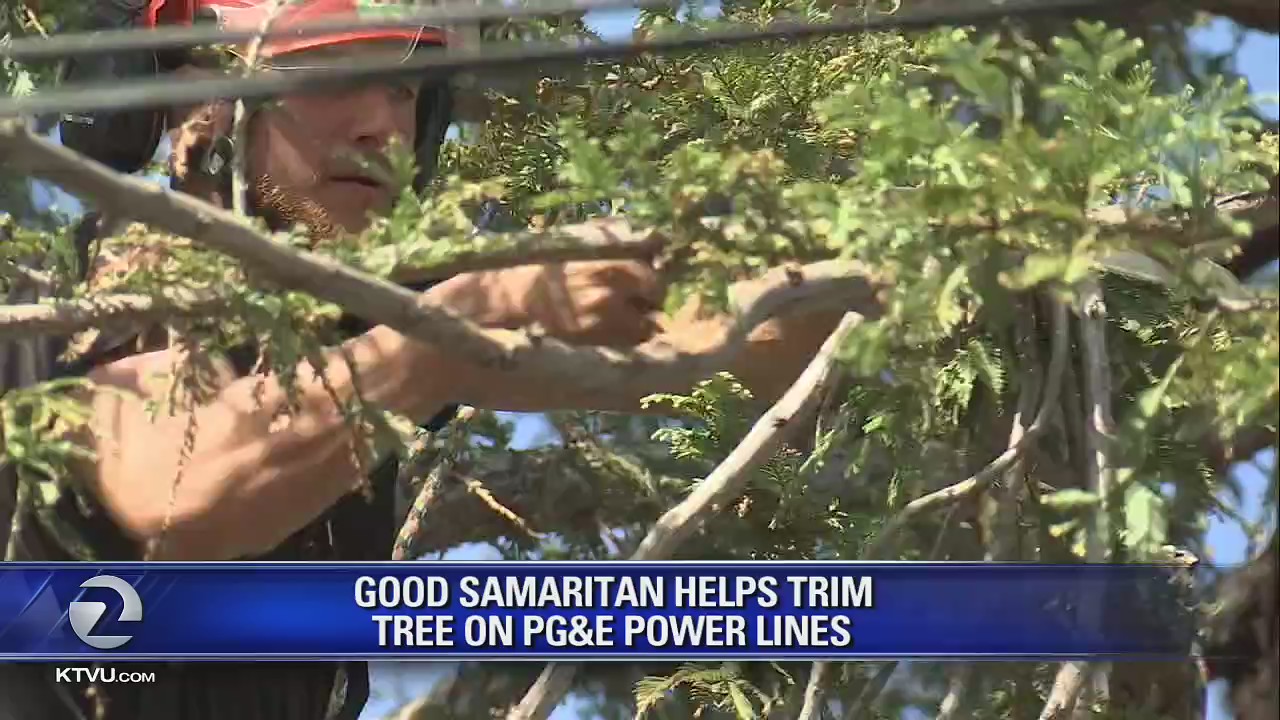 Tree trimmer lops branches for couple - and gets help for friend in return