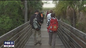 Sunrise hikes at Hillsborough County nature preserves