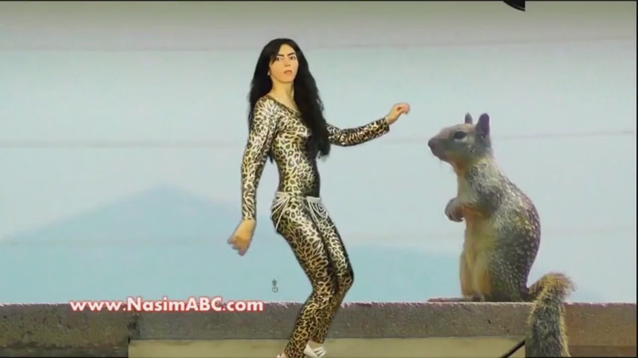 Family of suspected shooter say they tried to warn police