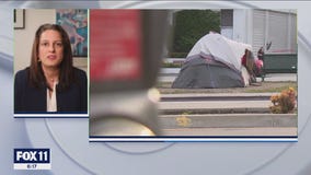 LA councilwoman discusses encampment cleanup