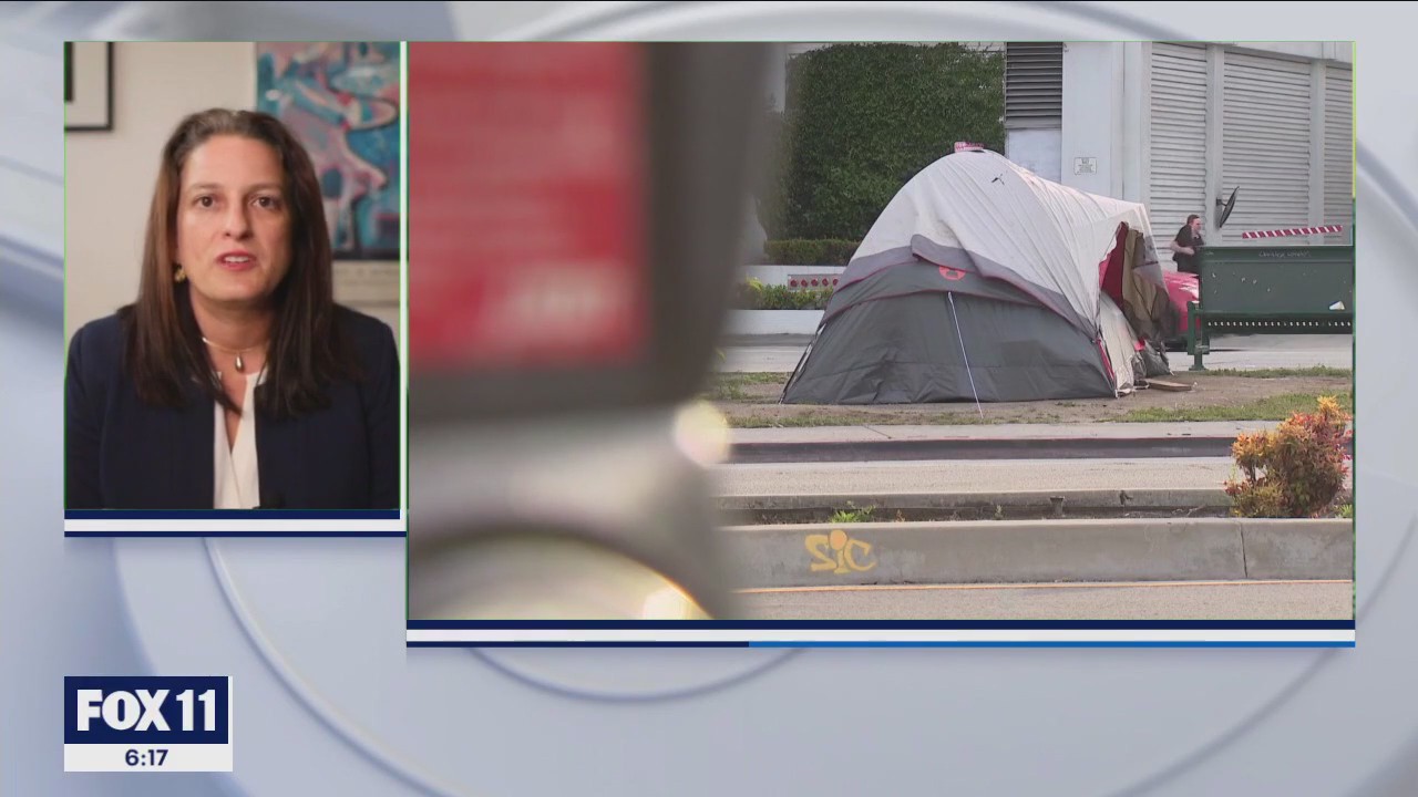 LA councilwoman discusses encampment cleanup