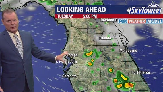 Tampa Weather | Lots of heat & humidity