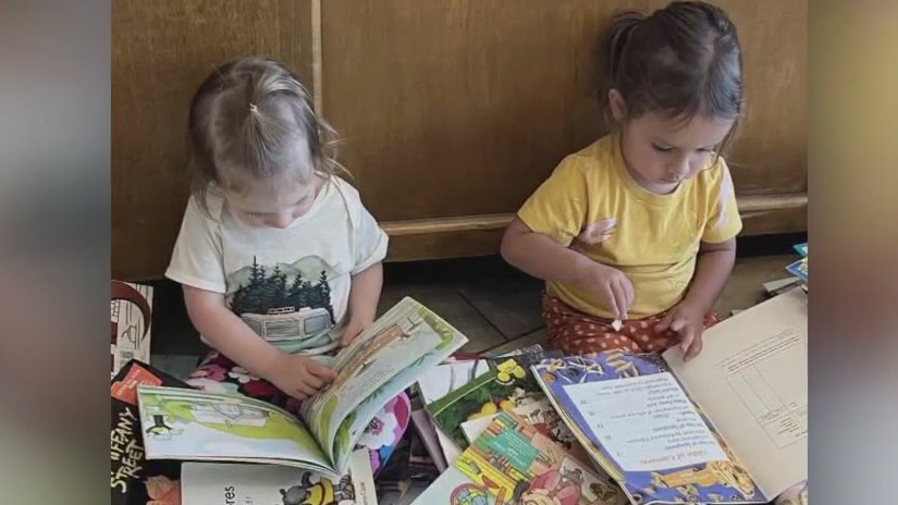 Friends of the Castro Valley Library