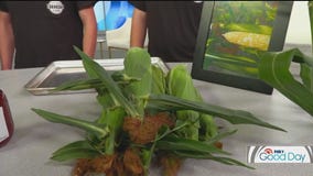 FOX 9 Good Day: July 15, 2025