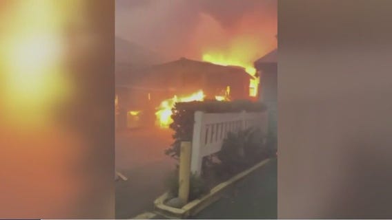 Maui communities decimated by wildfire