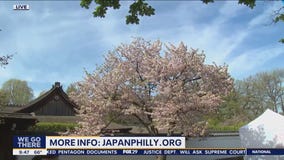 Cherry Blossom Festival takes place at Fairmount Park this weekend